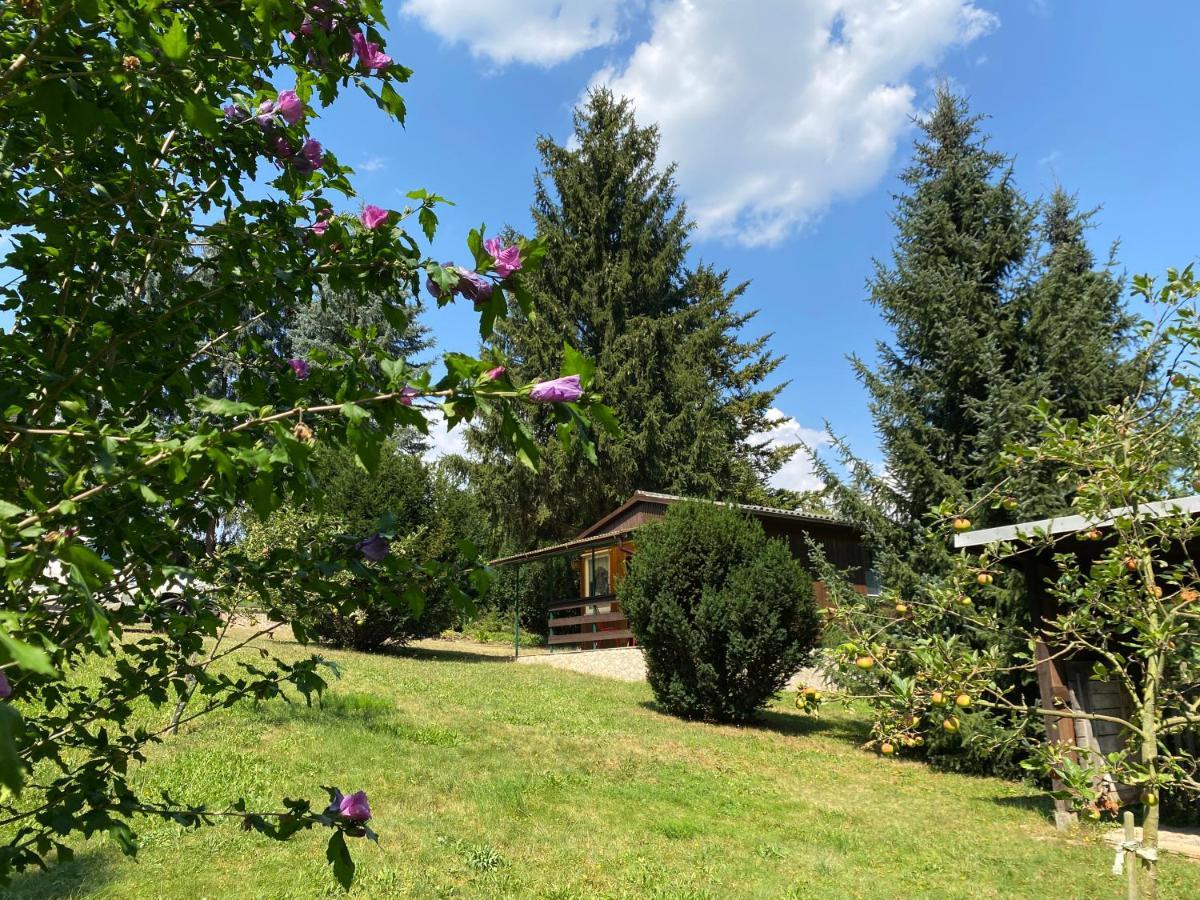 Waldfrieden Bungalow Garnsdorf Exteriör bild
